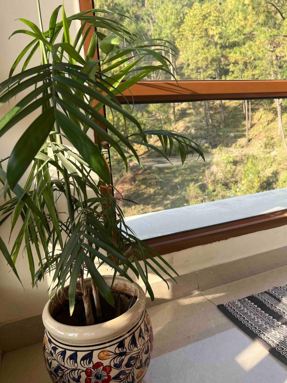 2Bhk Furnished Apartment/Near Kasauli/Barog/Luv Fun & Adventure โซลัน ภายนอก รูปภาพ