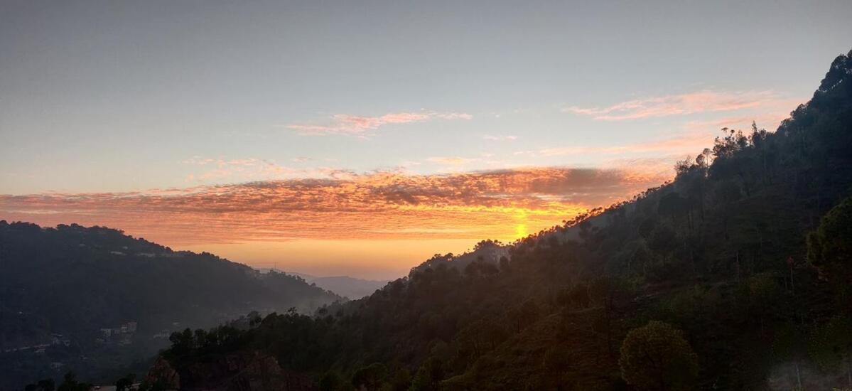 2Bhk Furnished Apartment/Near Kasauli/Barog/Luv Fun & Adventure โซลัน ภายนอก รูปภาพ